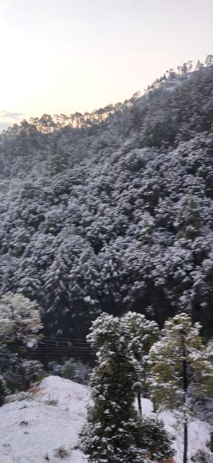 Solitude Inn Bnb Shimla Ngoại thất bức ảnh
